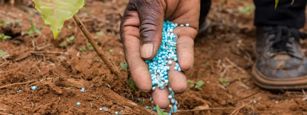 EEPAF - Empresa Estratégica de Producción de Abonos y Fertilizantes