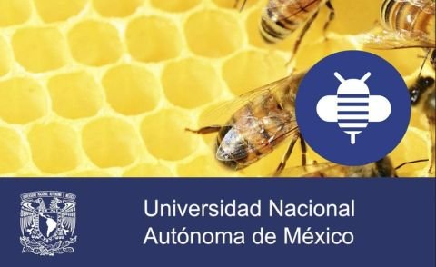 Introducción a la calidad